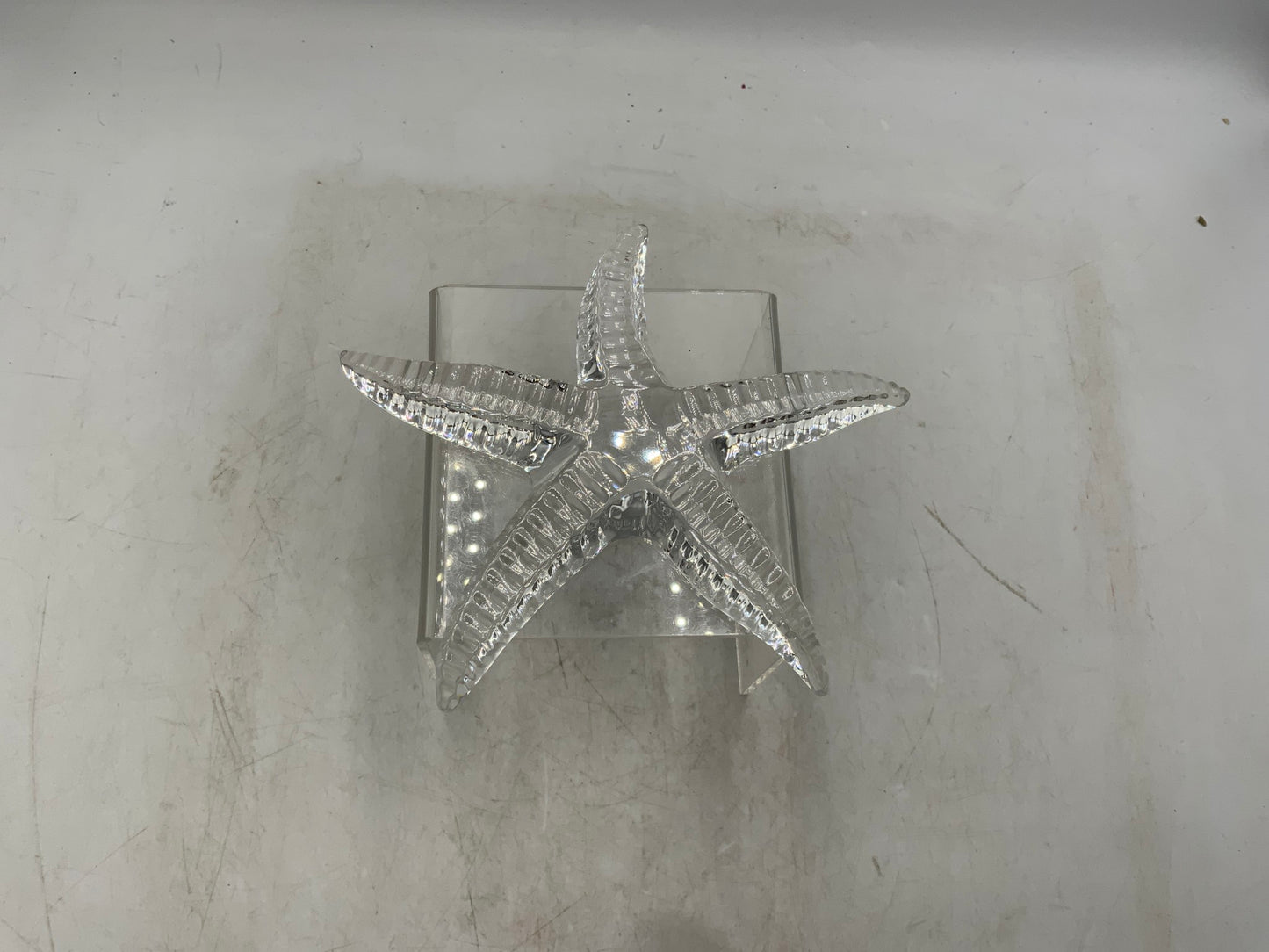 Waterford Crystal Starfish