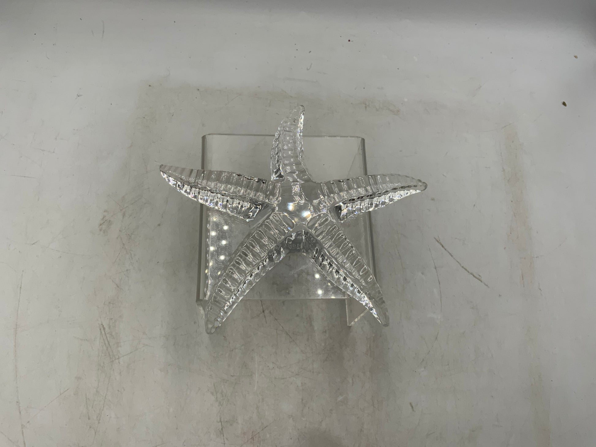 Waterford Crystal Starfish