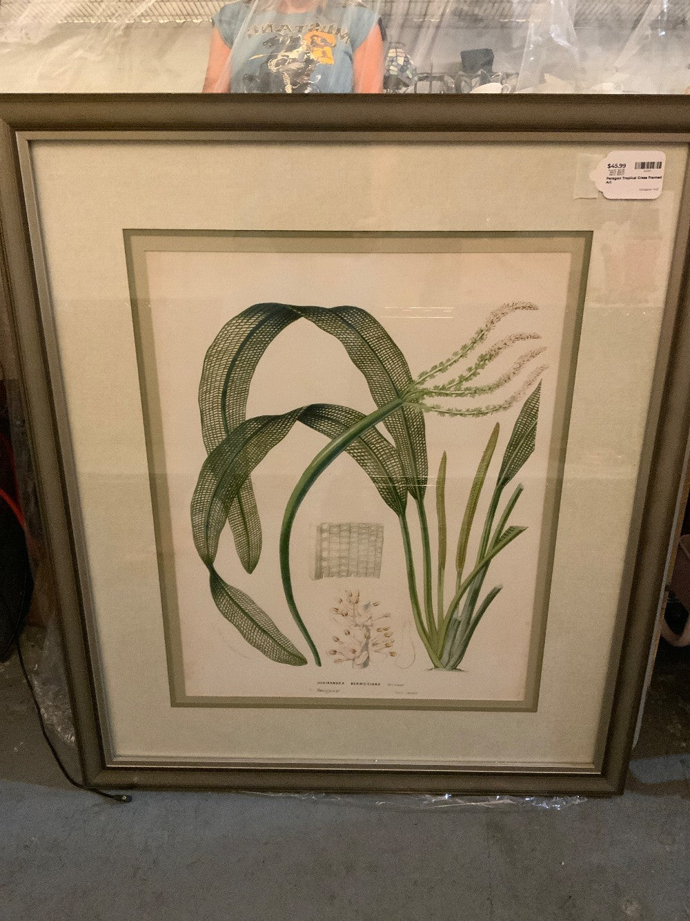 Paragon Tropical Grass Framed Art