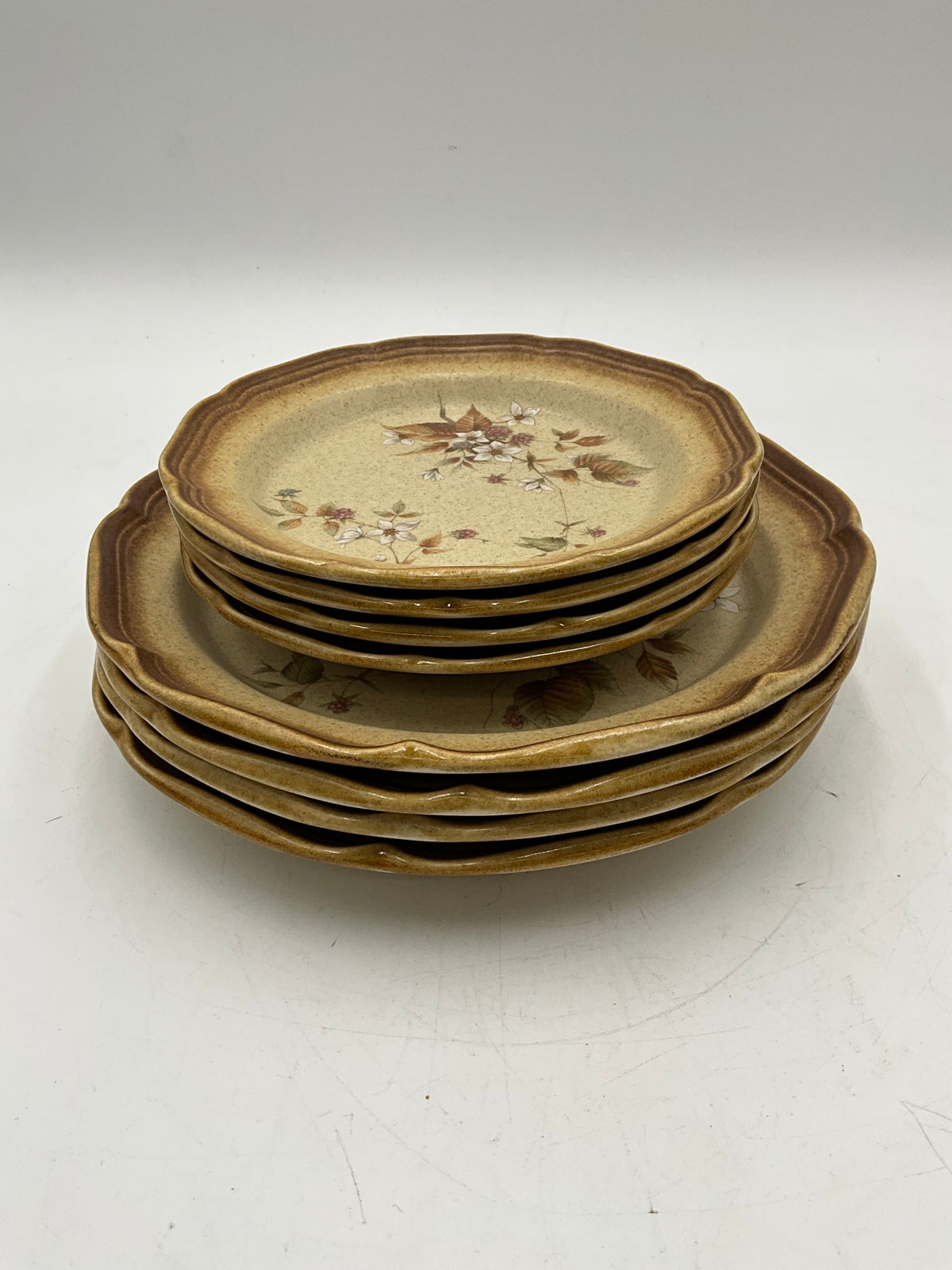 Mikasa Whole Wheat Raspberry 8Pc Plate Set