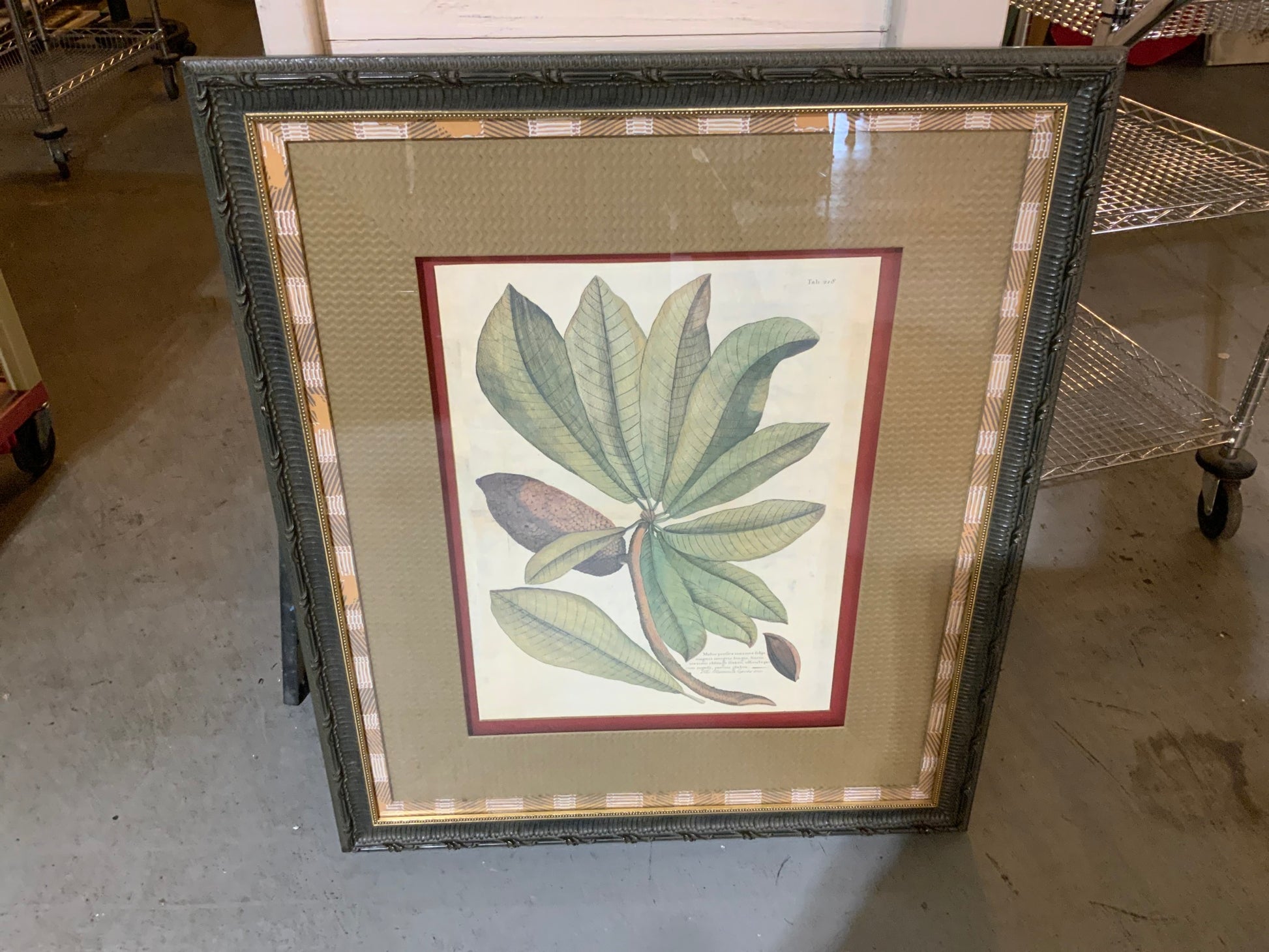 Framed Leaf Art by John Richard