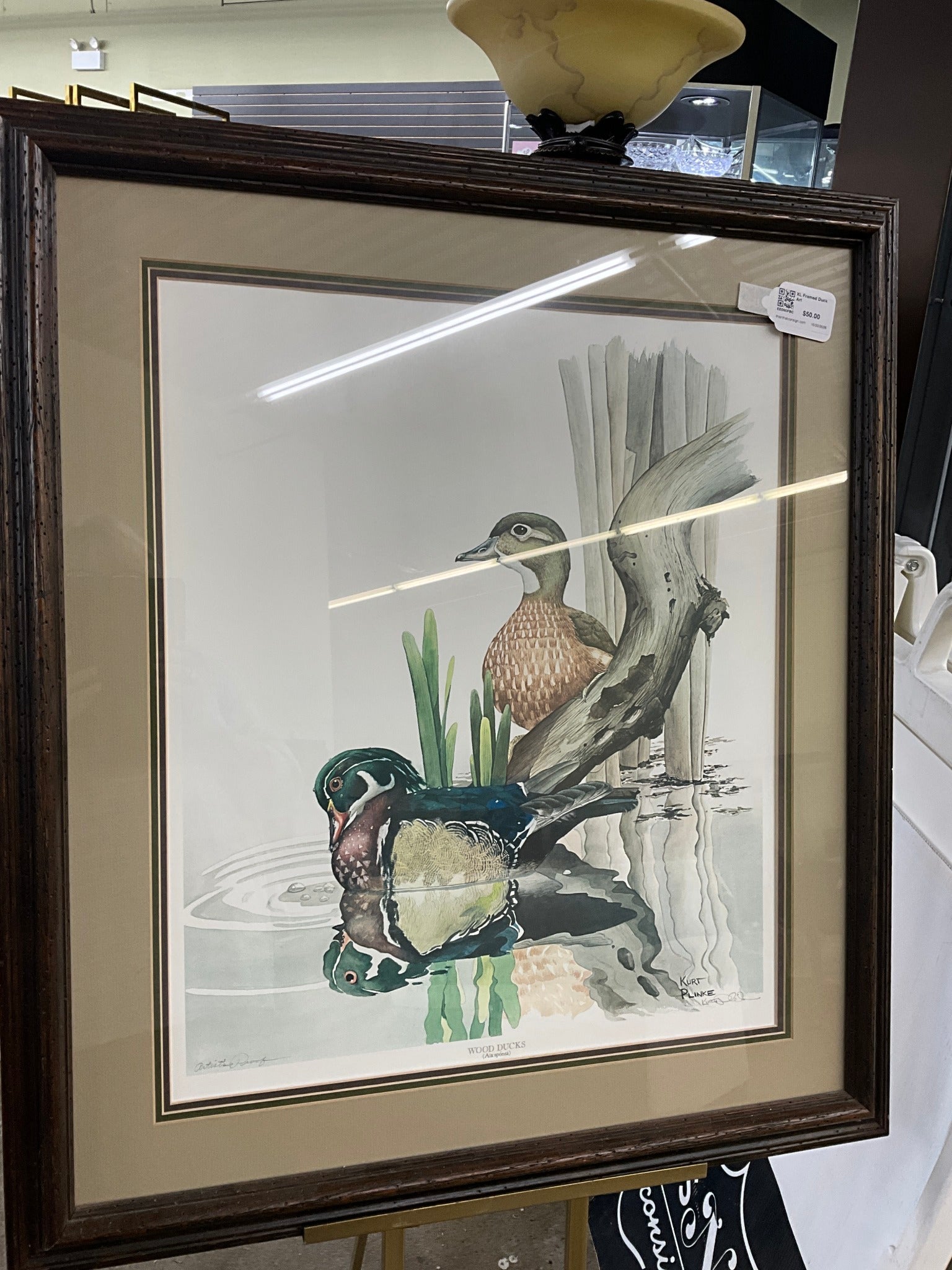 XL Framed Duck Art
