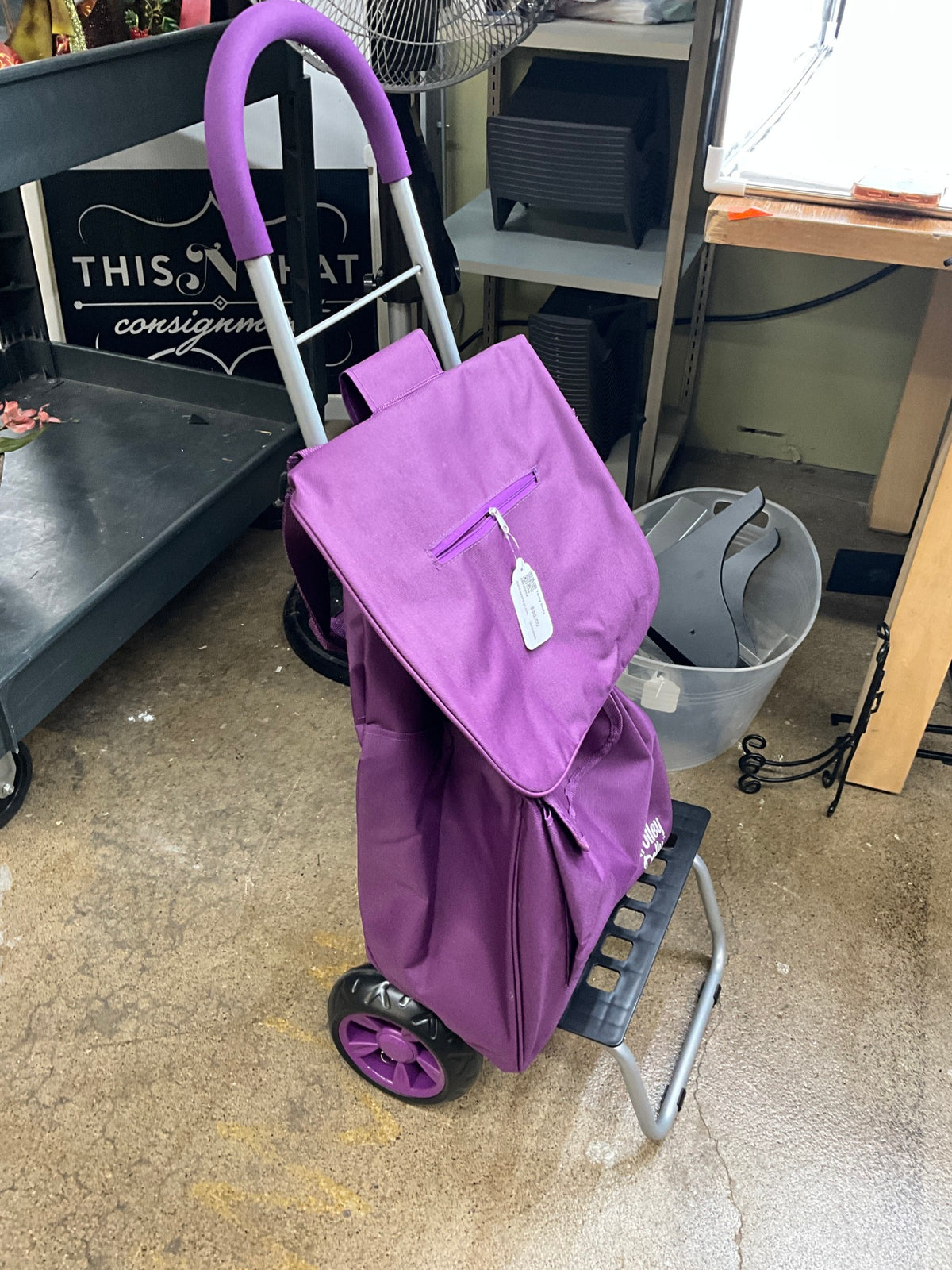 Trolly Dolly