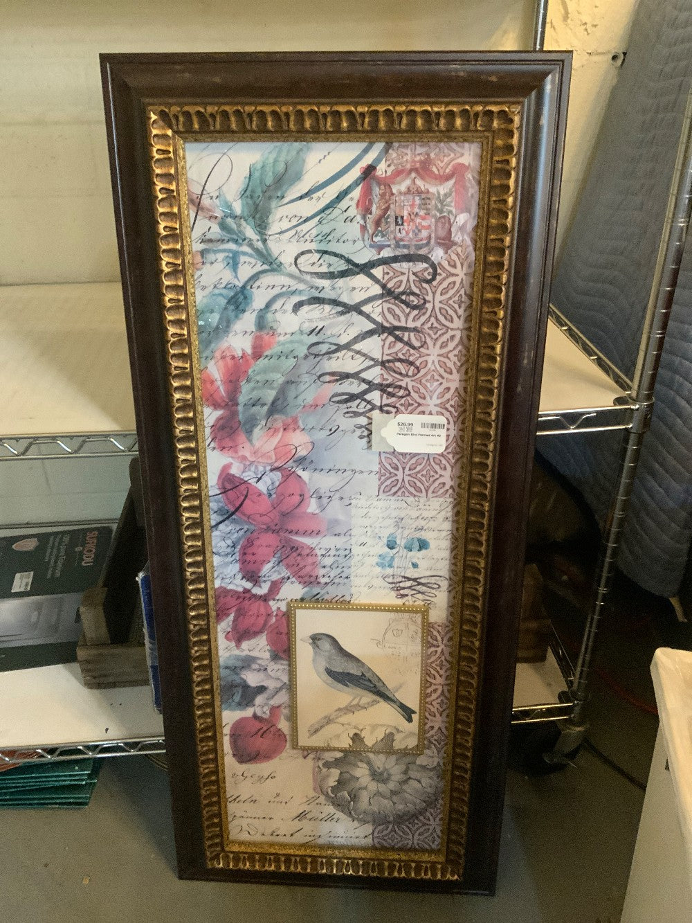 Paragon Bird Framed Art #2